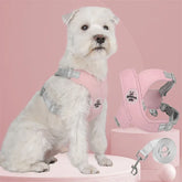 Conjunto de Colete Peitoral X-Comfort - Seu Cão Seguro